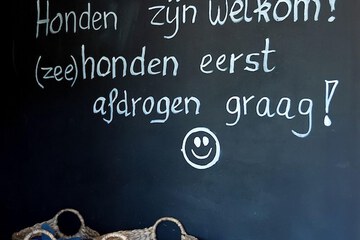 Pet-friendly amenities
