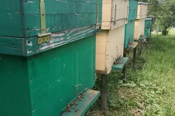 Photo 41