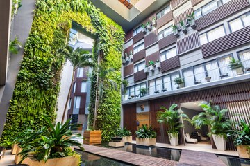 Garden view