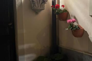 Photo 69
