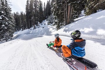 Sledding