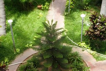Photo 17