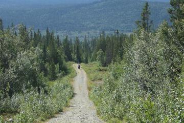Photo 29