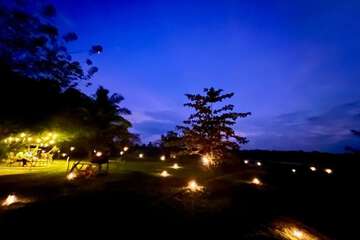 Garden view