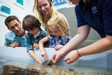 Childrens Activities 50 of 52