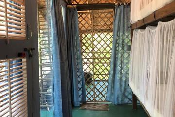 Photo 47