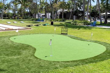 Mini-golf