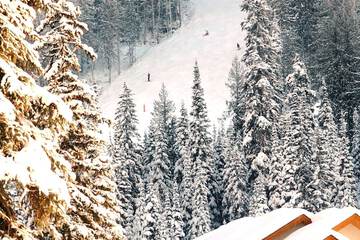 Snow and ski sports
