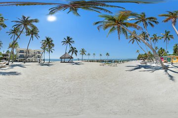 Outdoor wedding area