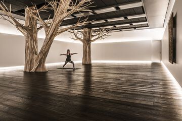 Health and Fitness 51 of 55