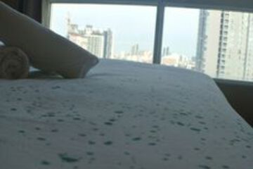 Guestroom View