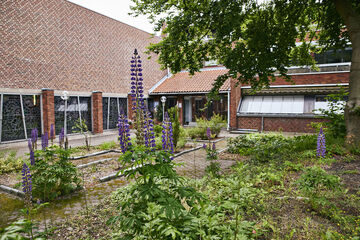 Photo 16
