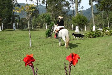 Horseback riding