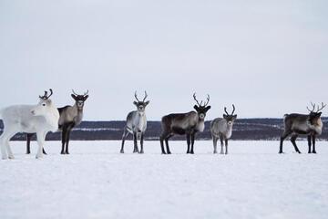 Photo 45