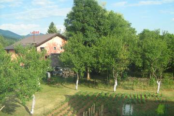 Photo 30