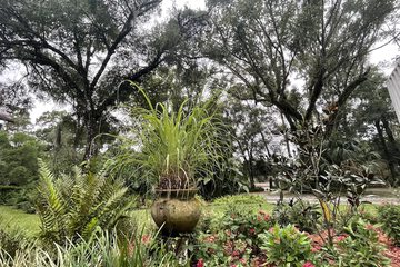 Hotel Exterior 50 of 58