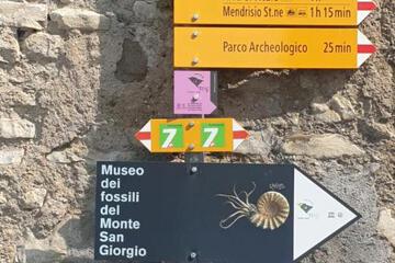 Photo 48