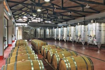 Winery