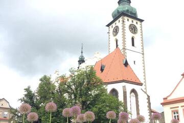 Photo 37