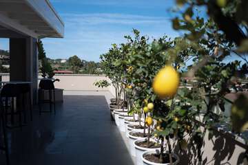 Breakfast area