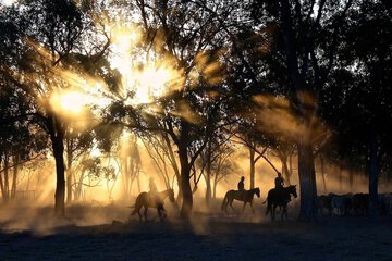 Horseback riding