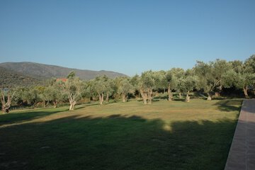 Outdoor banquet area