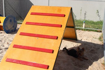 Pet-friendly amenities
