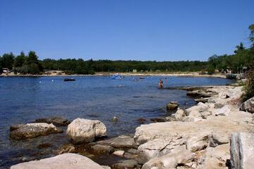 Photo 45