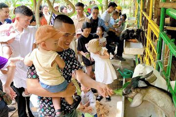 Children's activities