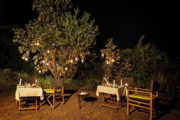 Couples dining
