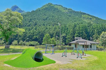 Pet-friendly amenities