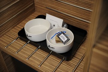Pet-friendly amenities
