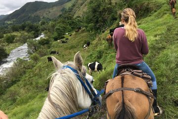 Horseback riding