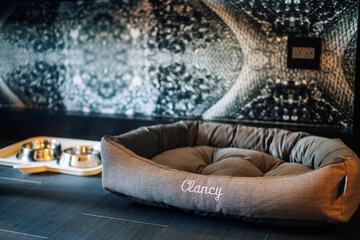 Pet-friendly amenities