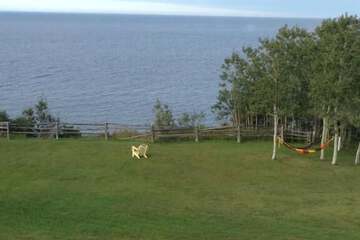 Photo 44