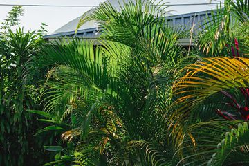 Land view from property