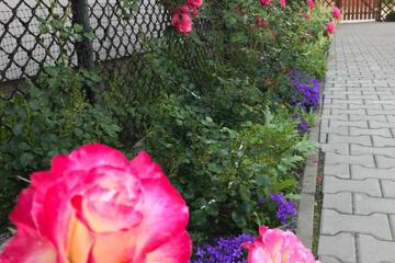 Photo 27