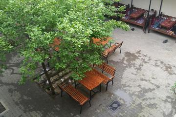 Photo 8
