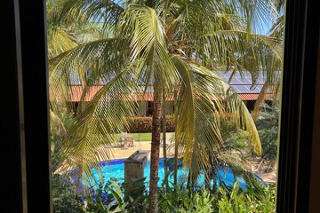 Garden view