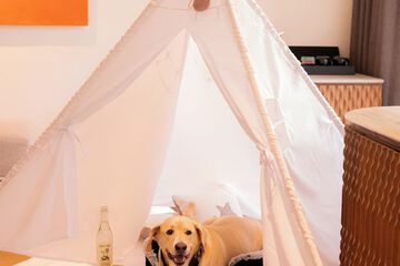 Pet-friendly amenities