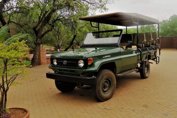 Game drive