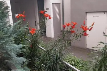 outside