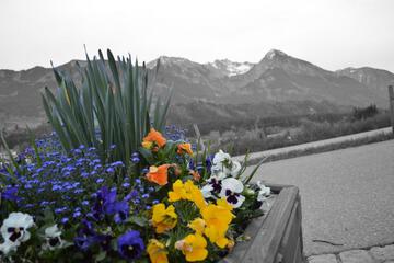 Photo 28