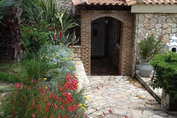 Photo 24