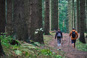 Hiking