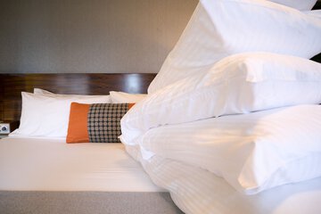 Cleanliness standards