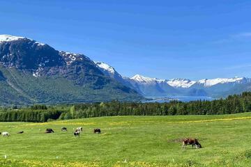 Land view from property