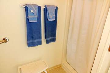 Bathroom shower