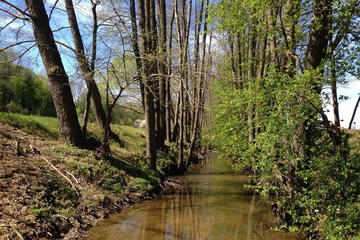Lake