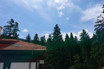 Photo 49